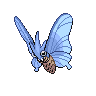 Shiny venomoth